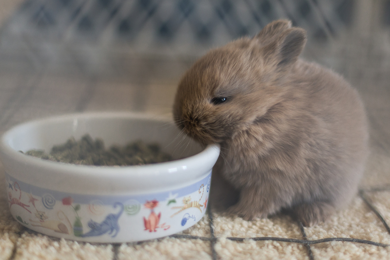 house moving moving supplies