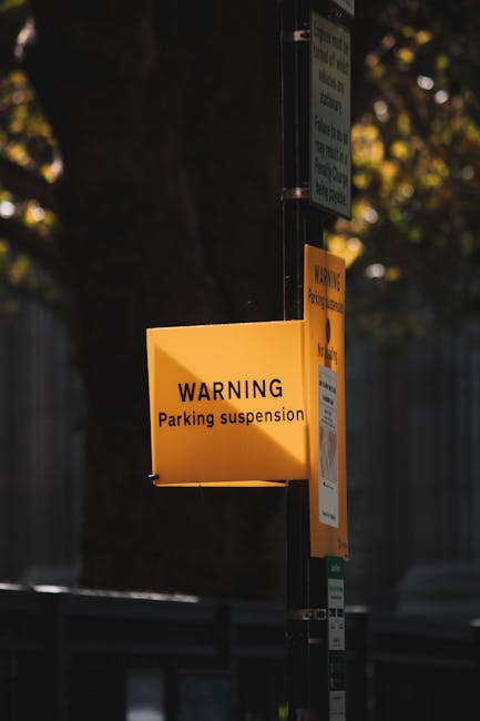 A street parking sign indicating reserved parking for disabled blue badge holders and van accessibility, mounted on a metal pole against a background of leafless tree branches and a cloudy sky. The sign features a blue and white wheelchair symbol, with green borders around the text. It is positioned outdoors, likely near a residential area, where house removals and furniture transport services by Man with Van Shadwell may be coordinated. The sign's presence suggests designated accessible parking spaces used for loading and unloading during home relocation or moving processes, supporting the logistics involved in professional removals and packing activities. The overall scene emphasizes the importance of adhering to parking regulations for efficient house removals and moving operations in the Shadwell area.
